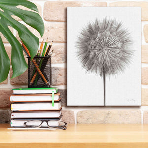 'Dandelion Fluff on White' by Debra Van Swearingen, Canvas Wall Art,12 x 16