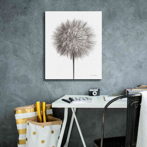 Image of 'Dandelion Fluff on White' by Debra Van Swearingen, Canvas Wall Art,20 x 24