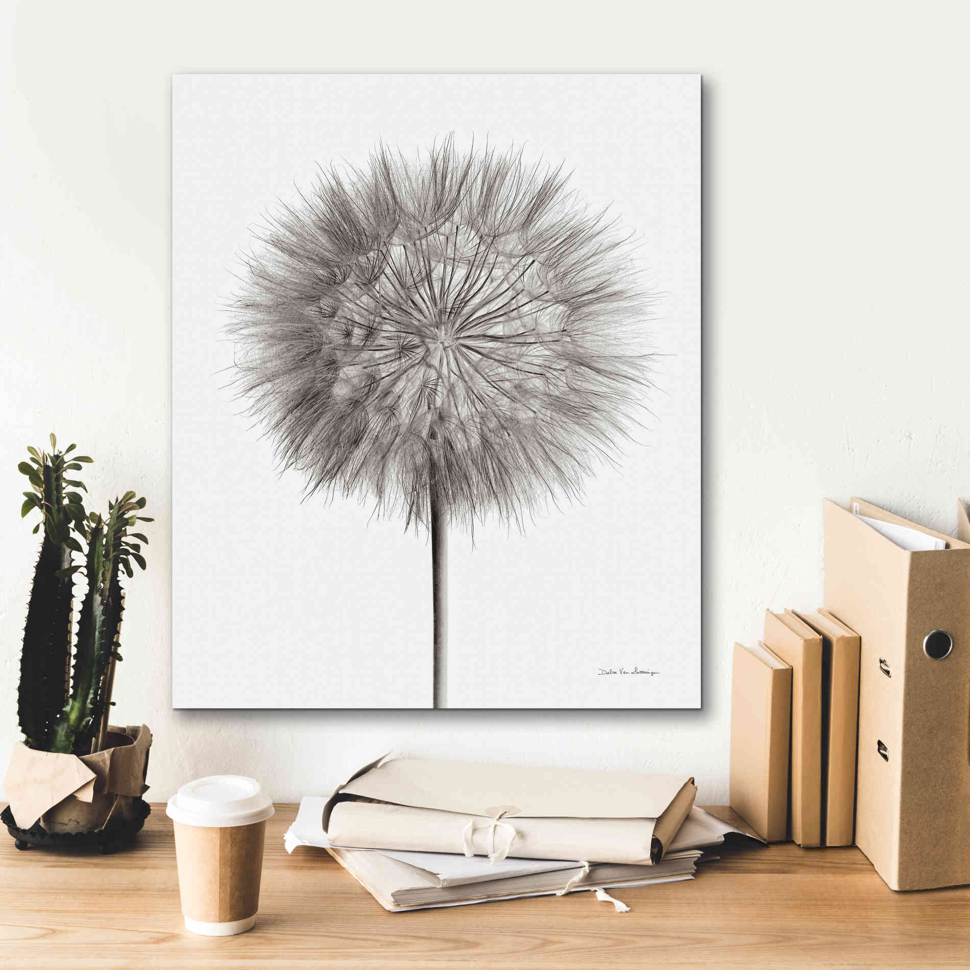 'Dandelion Fluff on White' by Debra Van Swearingen, Canvas Wall Art,20 x 24