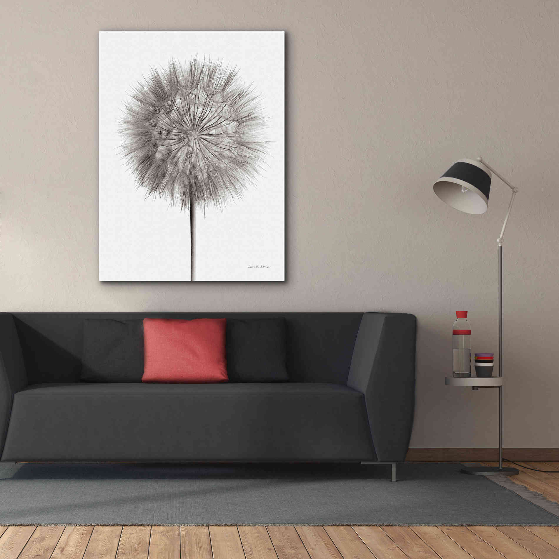 'Dandelion Fluff on White' by Debra Van Swearingen, Canvas Wall Art,40 x 54