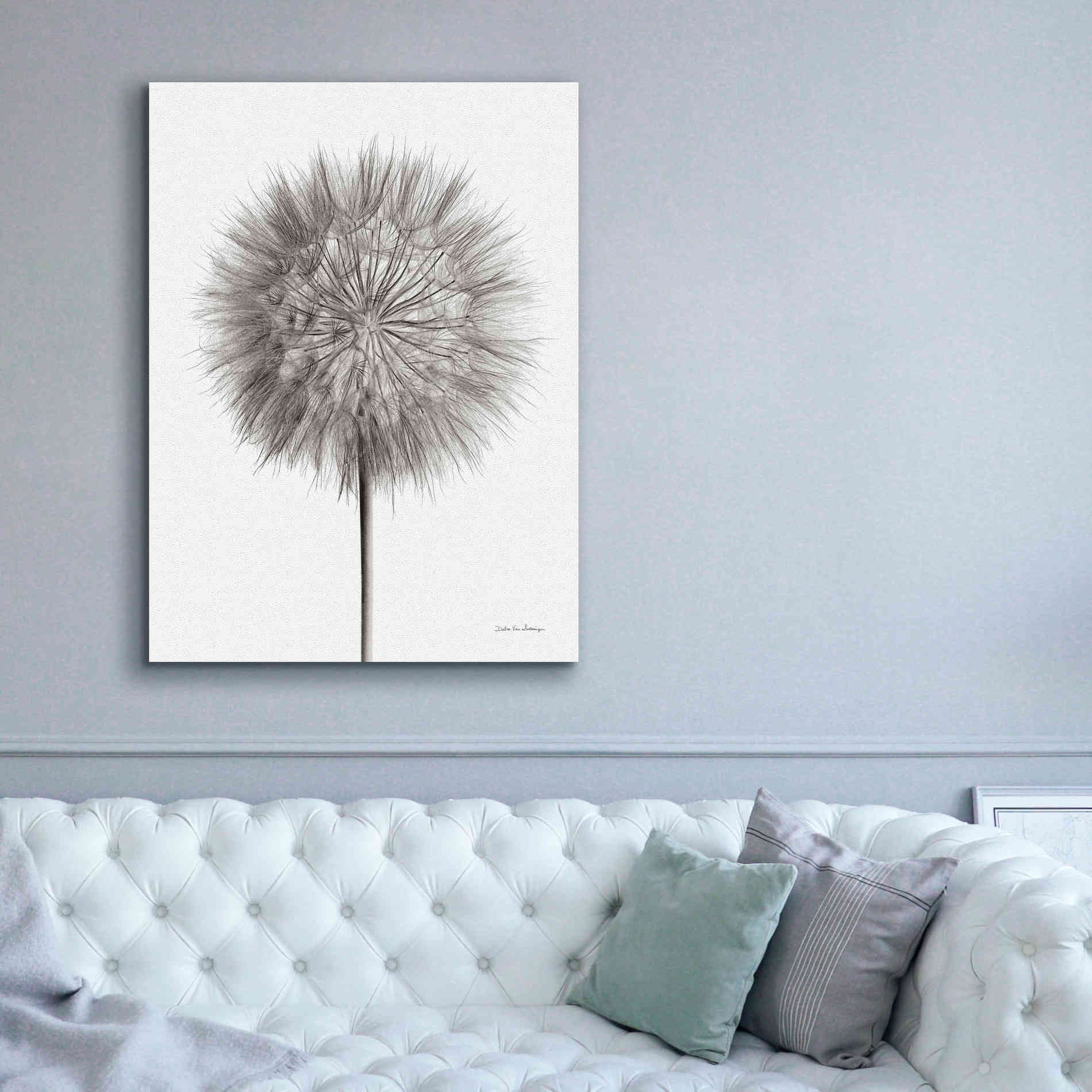 'Dandelion Fluff on White' by Debra Van Swearingen, Canvas Wall Art,40 x 54