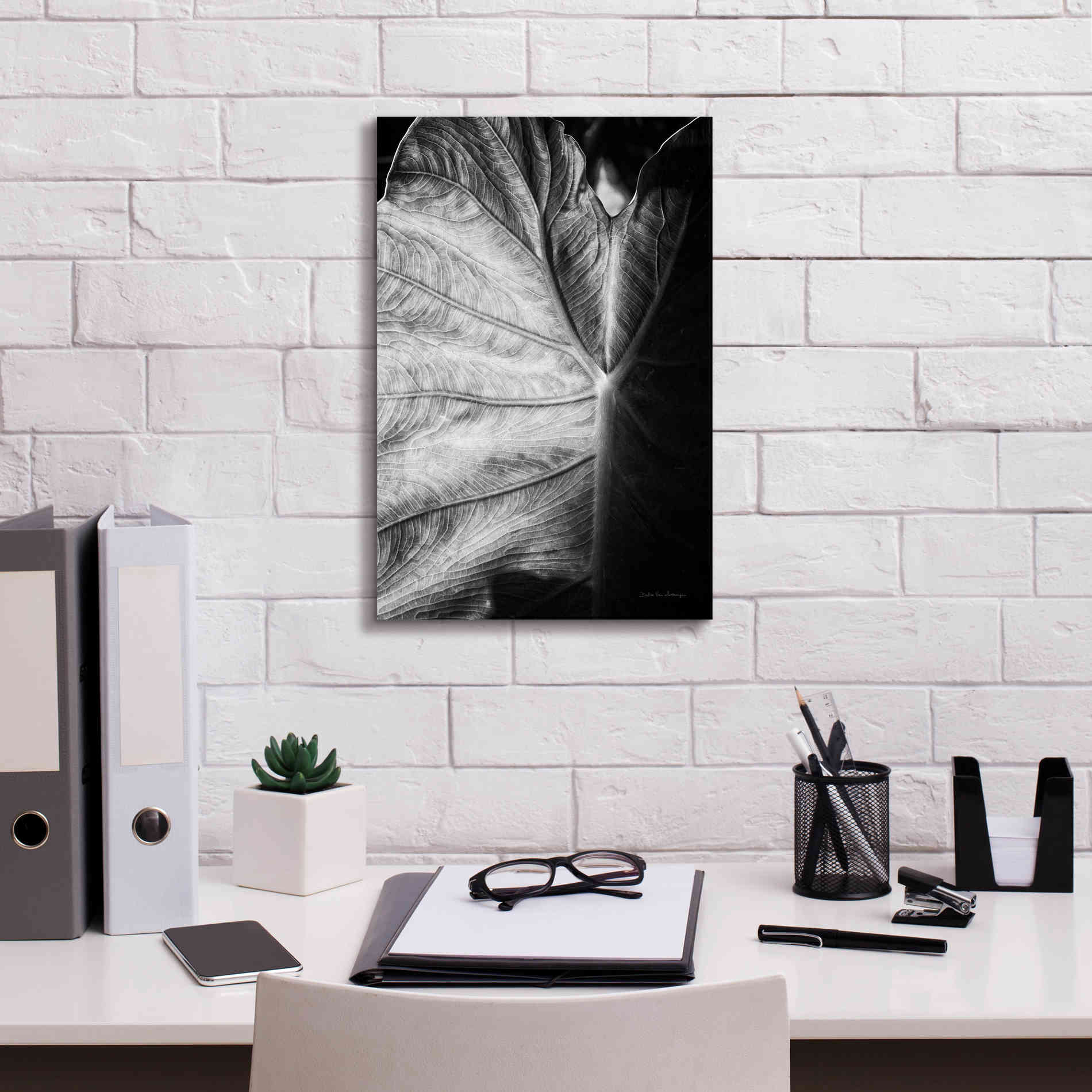 'Elephant Ear I' by Debra Van Swearingen, Canvas Wall Art,12 x 18