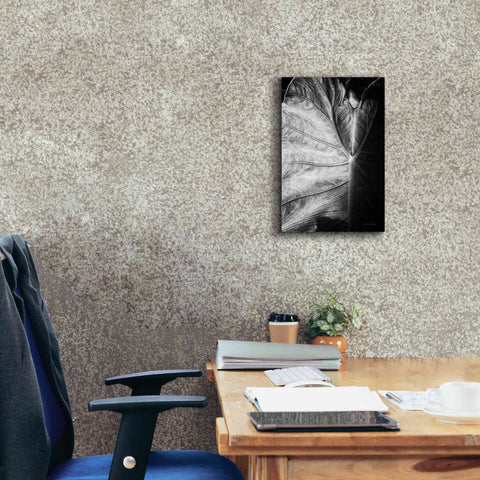 Image of 'Elephant Ear I' by Debra Van Swearingen, Canvas Wall Art,12 x 18