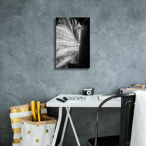 Image of 'Elephant Ear I' by Debra Van Swearingen, Canvas Wall Art,12 x 18
