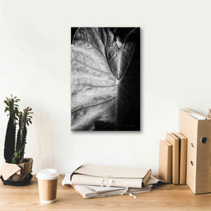 'Elephant Ear I' by Debra Van Swearingen, Canvas Wall Art,12 x 18