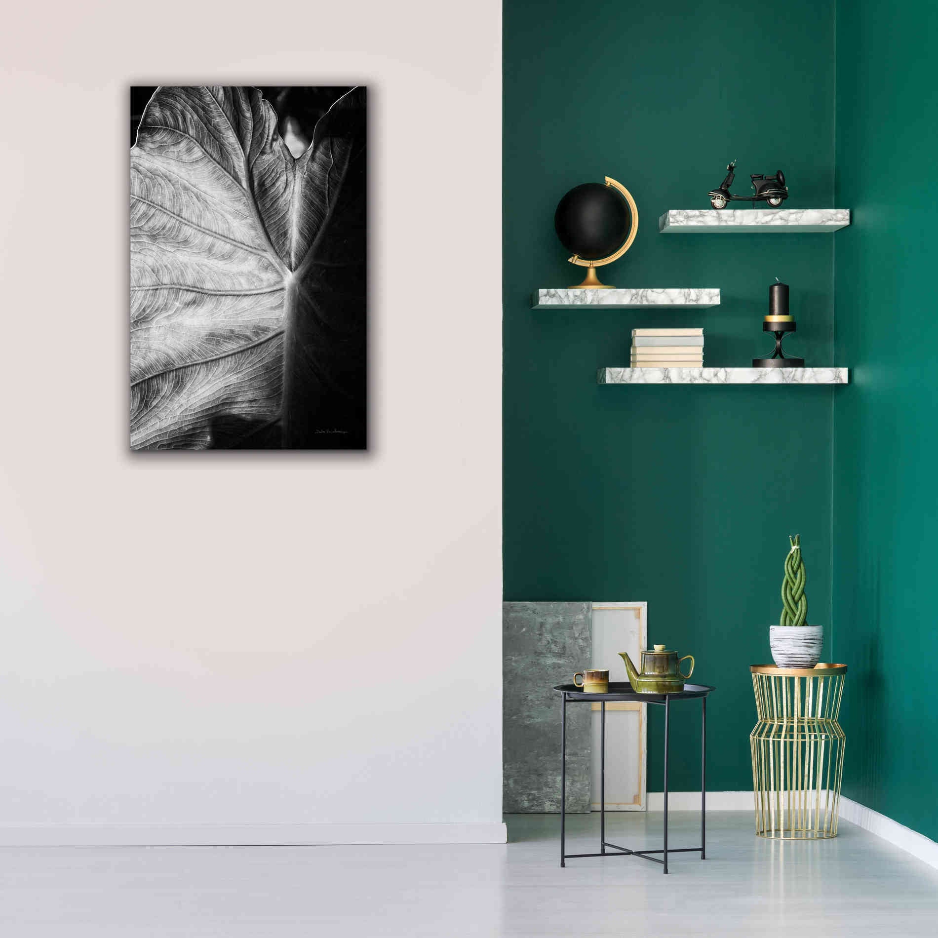 'Elephant Ear I' by Debra Van Swearingen, Canvas Wall Art,26 x 40