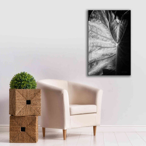 Image of 'Elephant Ear I' by Debra Van Swearingen, Canvas Wall Art,26 x 40