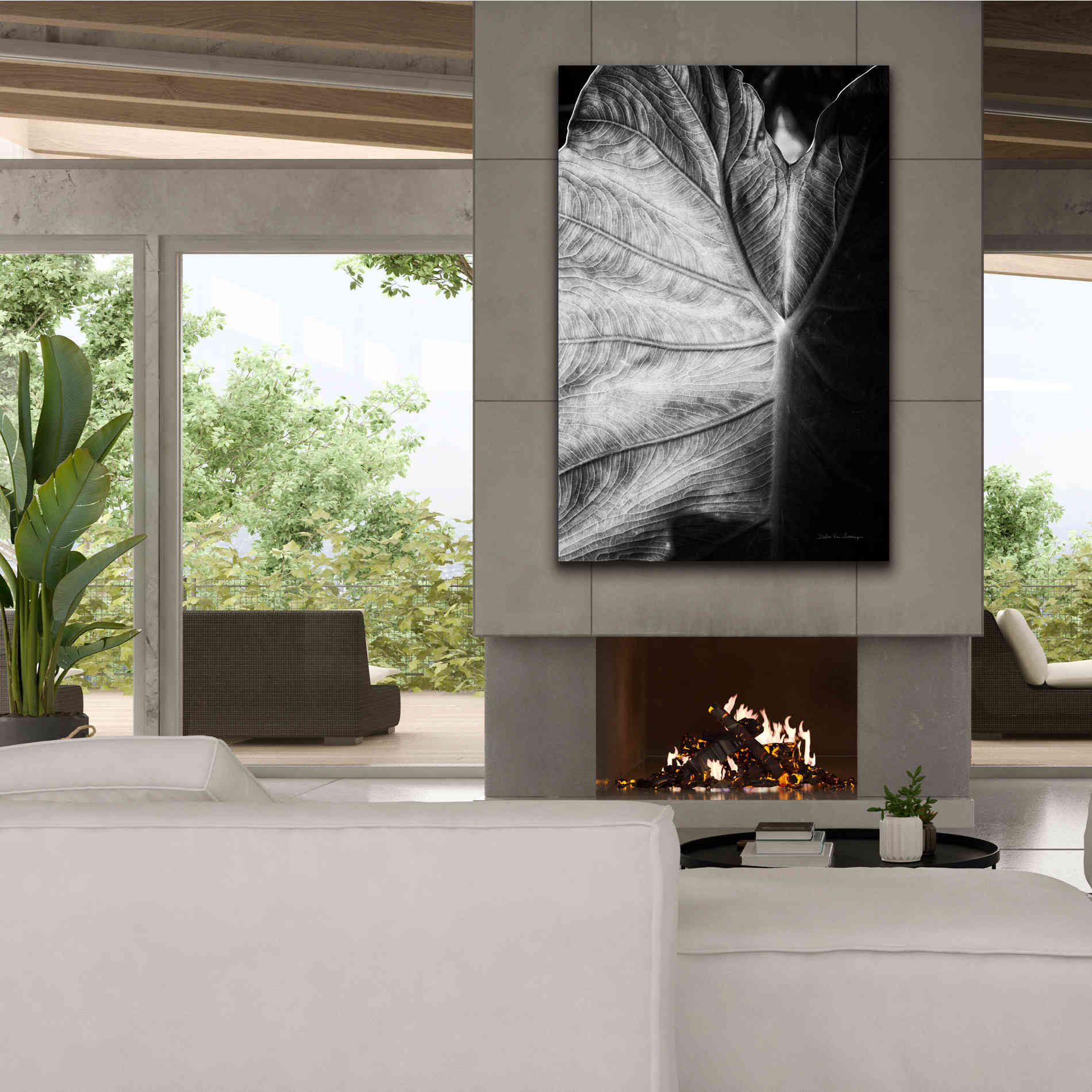 'Elephant Ear I' by Debra Van Swearingen, Canvas Wall Art,40 x 60