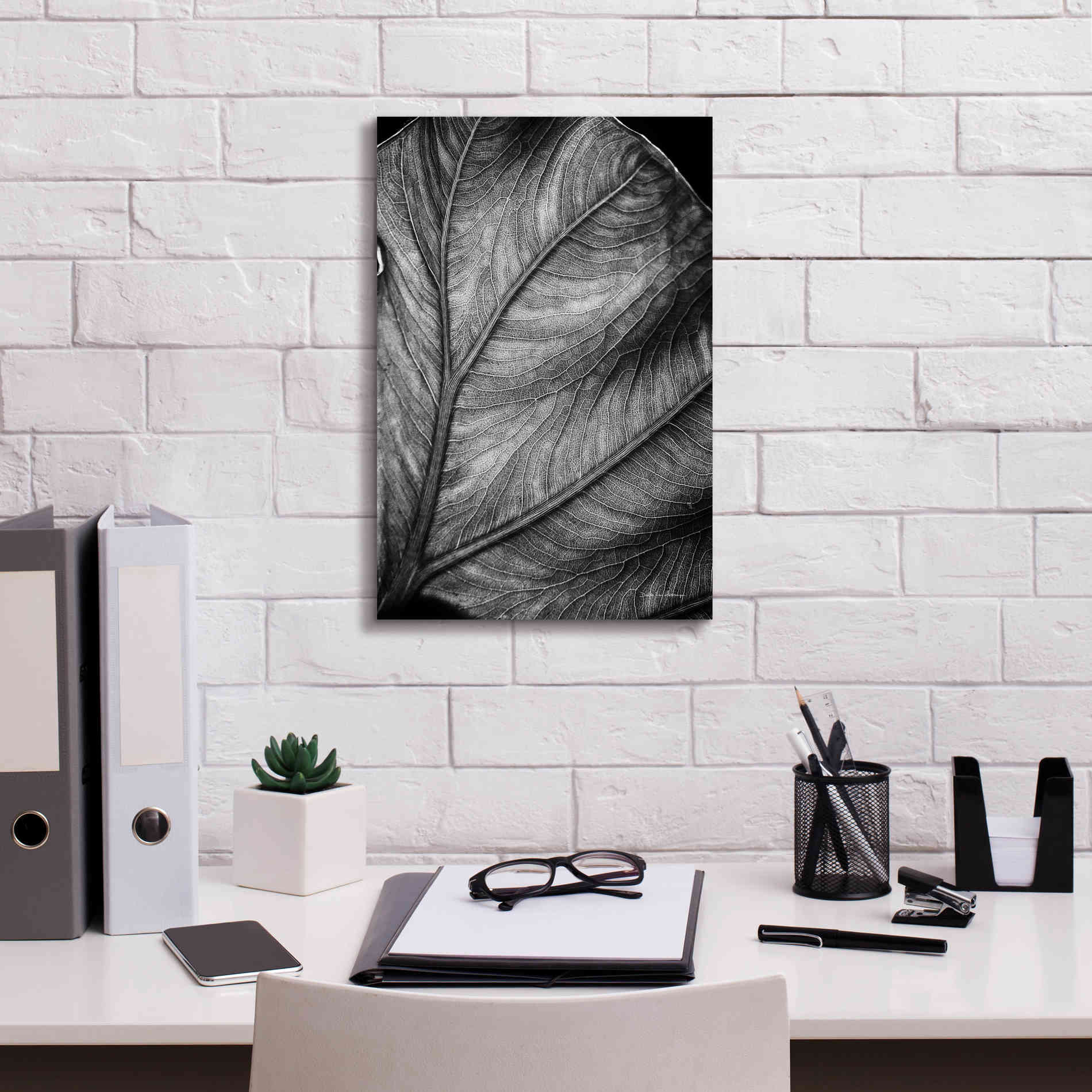 'Elephant Ear II' by Debra Van Swearingen, Canvas Wall Art,12 x 18