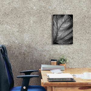 'Elephant Ear II' by Debra Van Swearingen, Canvas Wall Art,12 x 18