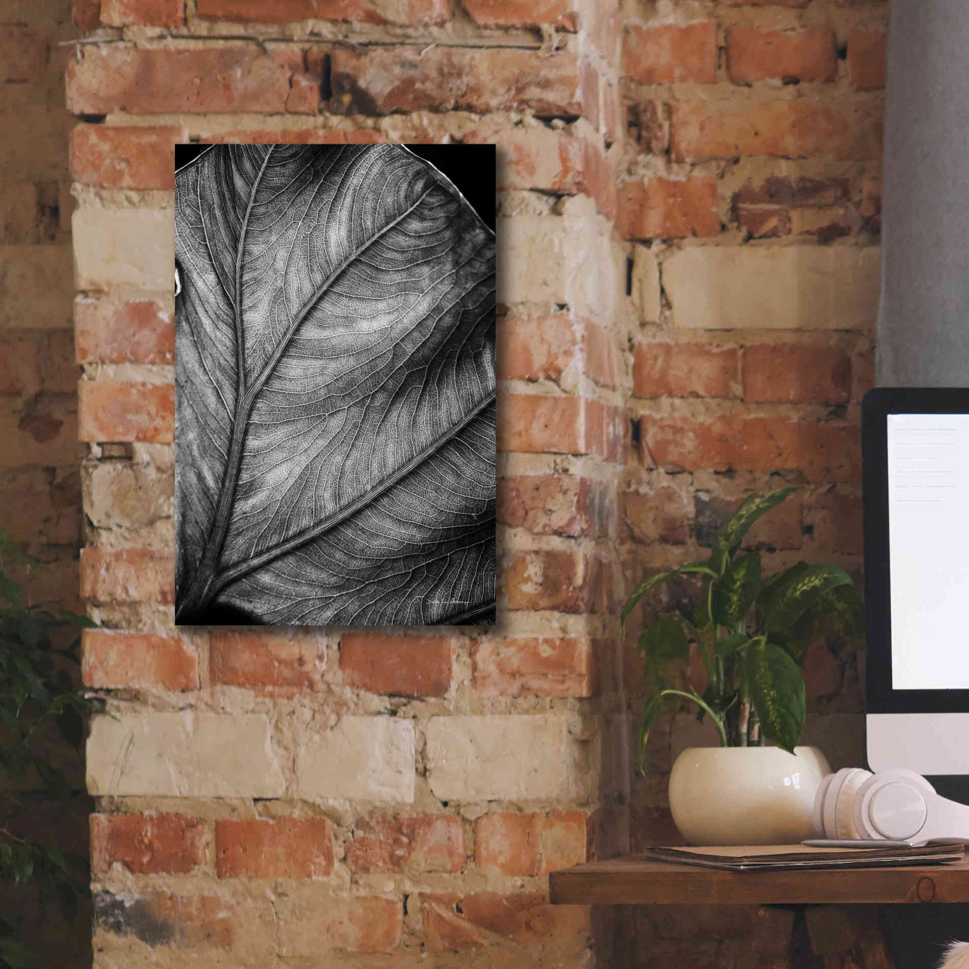 'Elephant Ear II' by Debra Van Swearingen, Canvas Wall Art,12 x 18