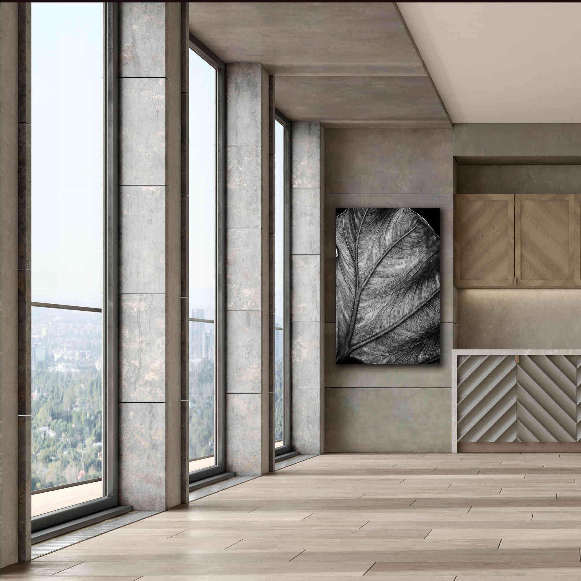 'Elephant Ear II' by Debra Van Swearingen, Canvas Wall Art,40 x 60