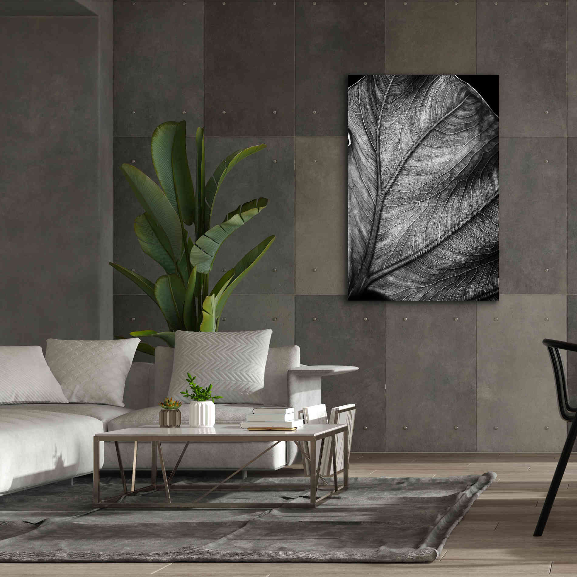 'Elephant Ear II' by Debra Van Swearingen, Canvas Wall Art,40 x 60