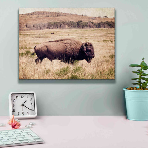 Image of 'Buffalo I' by Debra Van Swearingen, Canvas Wall Art,16 x 12