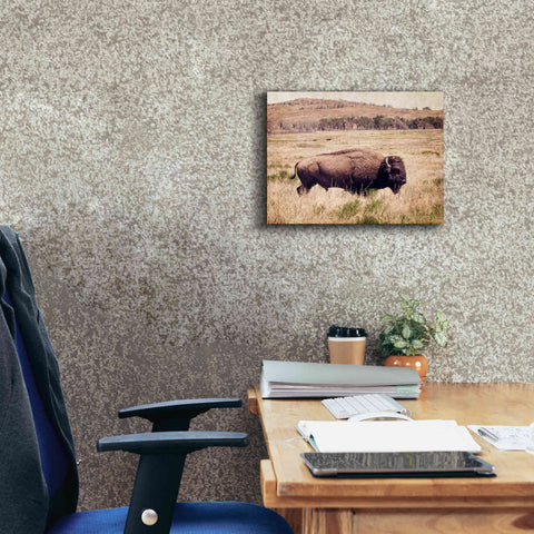 Image of 'Buffalo I' by Debra Van Swearingen, Canvas Wall Art,16 x 12