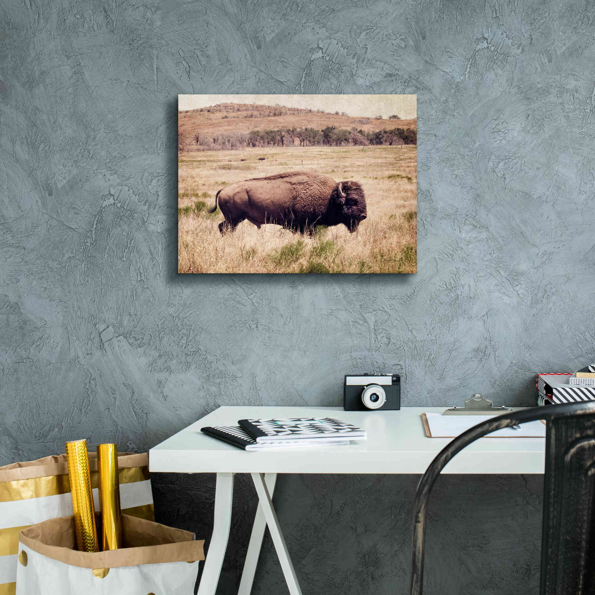 'Buffalo I' by Debra Van Swearingen, Canvas Wall Art,16 x 12