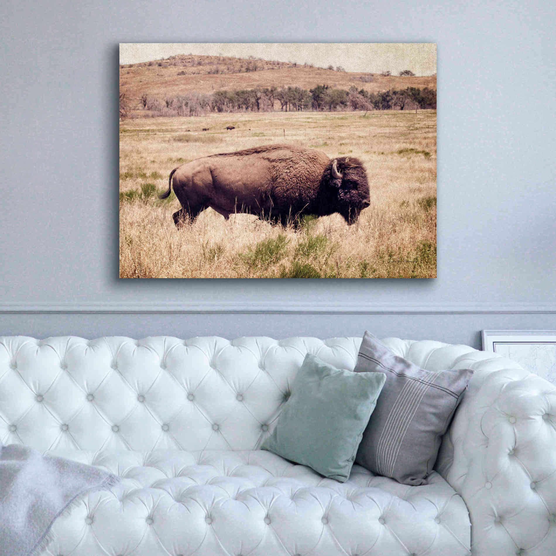 'Buffalo I' by Debra Van Swearingen, Canvas Wall Art,54 x 40