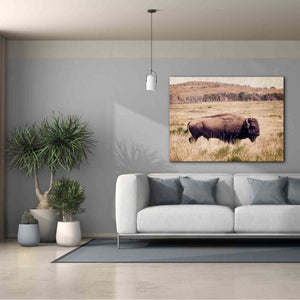 'Buffalo I' by Debra Van Swearingen, Canvas Wall Art,54 x 40