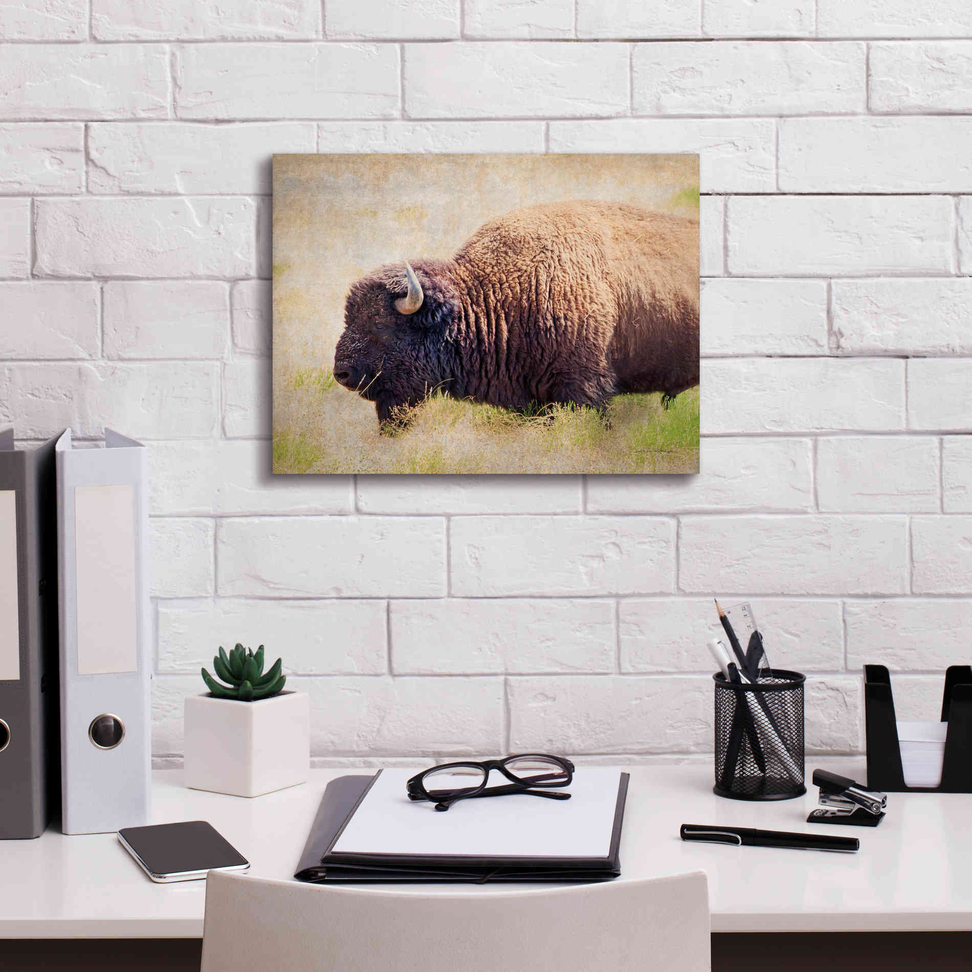 'Buffalo II' by Debra Van Swearingen, Canvas Wall Art,16 x 12
