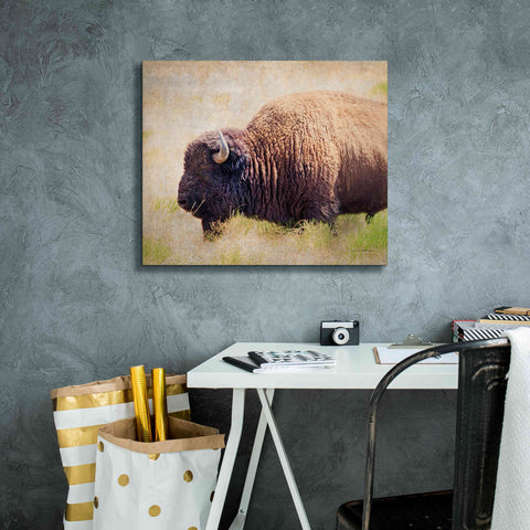 Image of 'Buffalo II' by Debra Van Swearingen, Canvas Wall Art,24 x 20