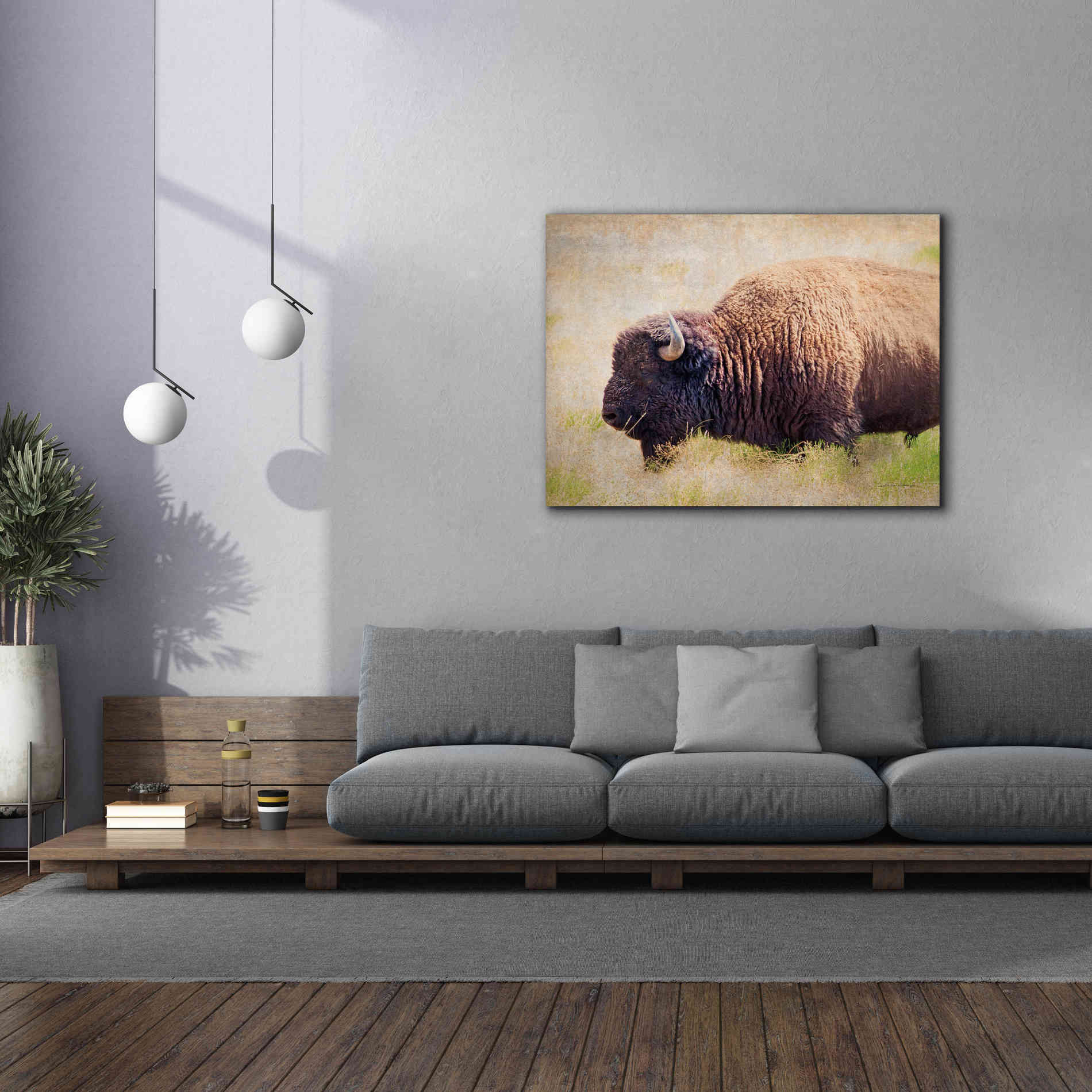 'Buffalo II' by Debra Van Swearingen, Canvas Wall Art,54 x 40