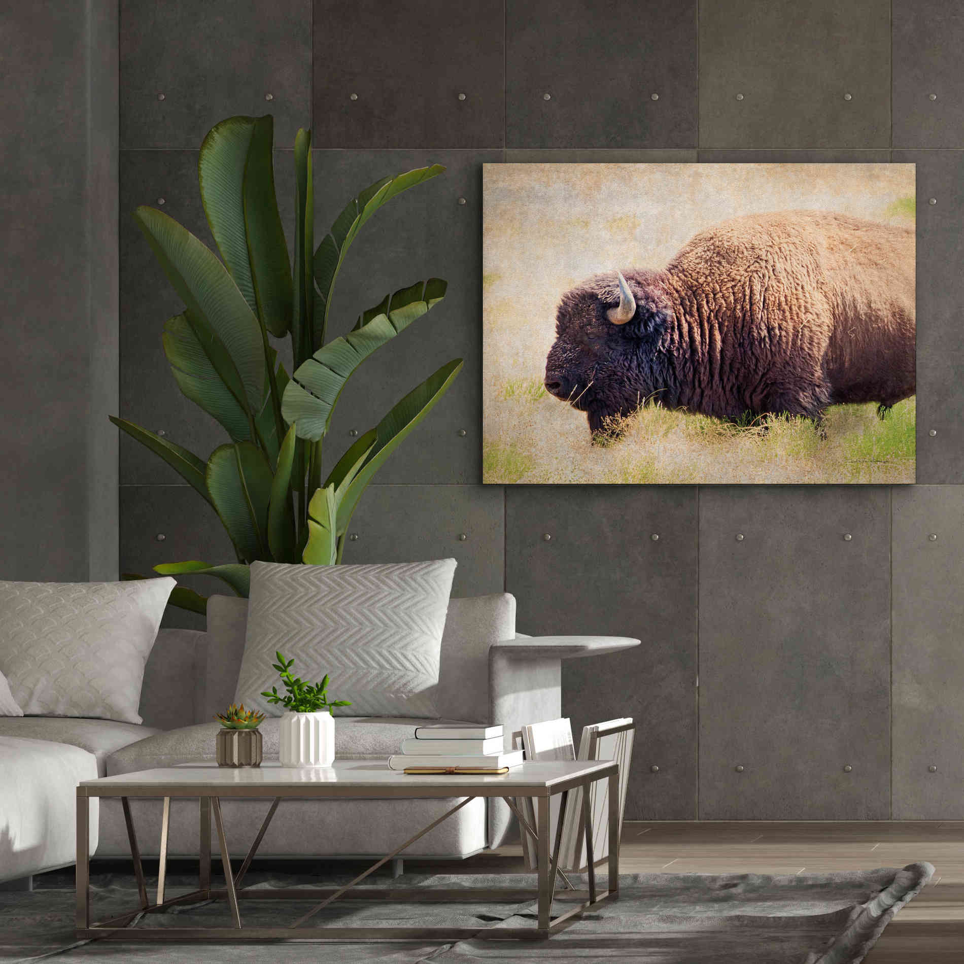 'Buffalo II' by Debra Van Swearingen, Canvas Wall Art,54 x 40