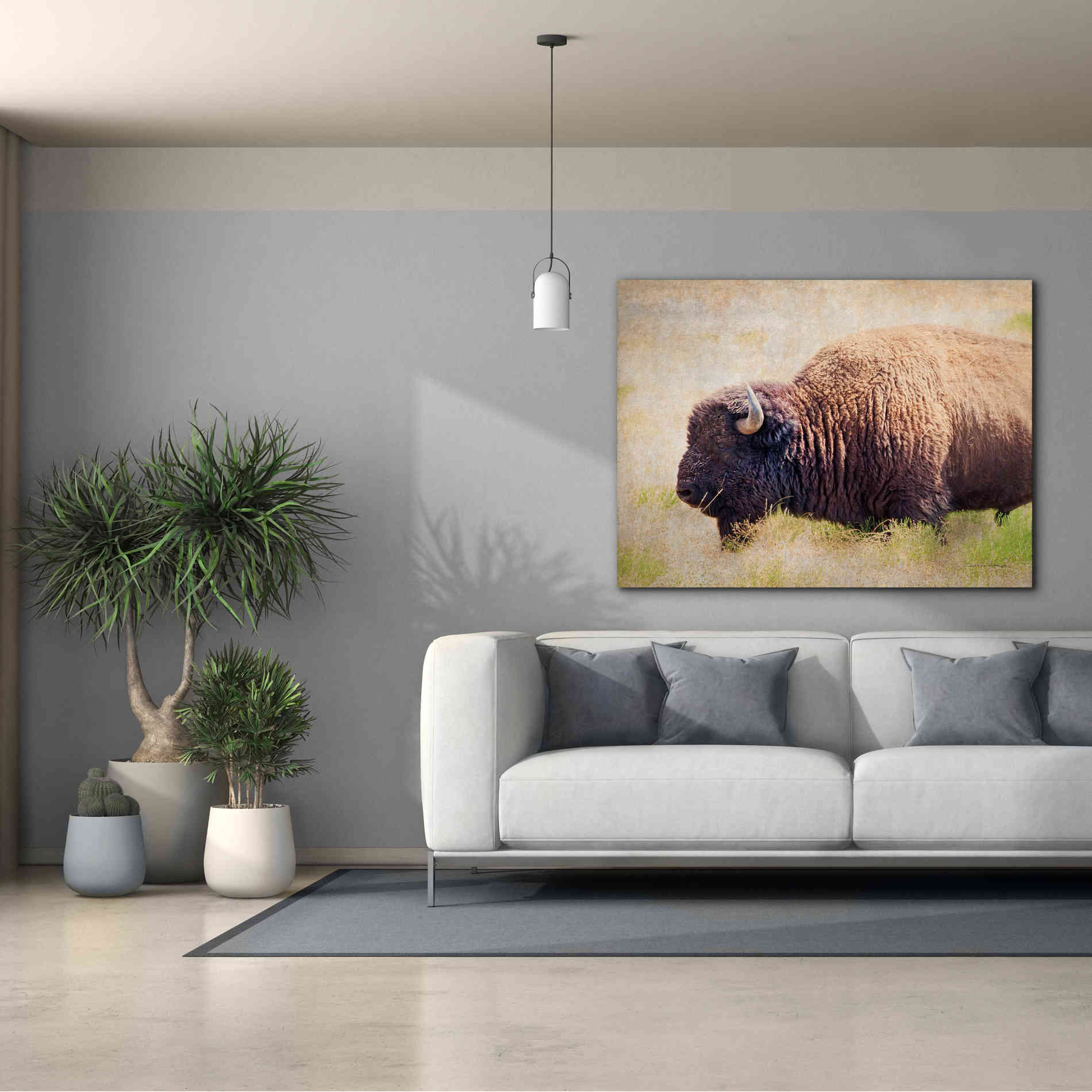 'Buffalo II' by Debra Van Swearingen, Canvas Wall Art,54 x 40