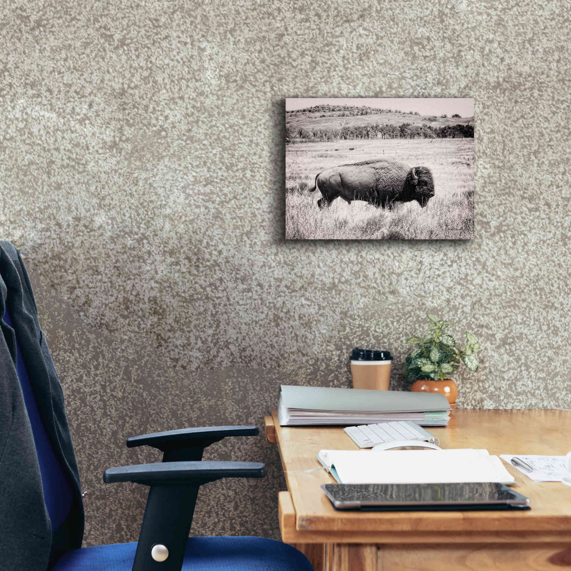 'Buffalo I BW' by Debra Van Swearingen, Canvas Wall Art,16 x 12