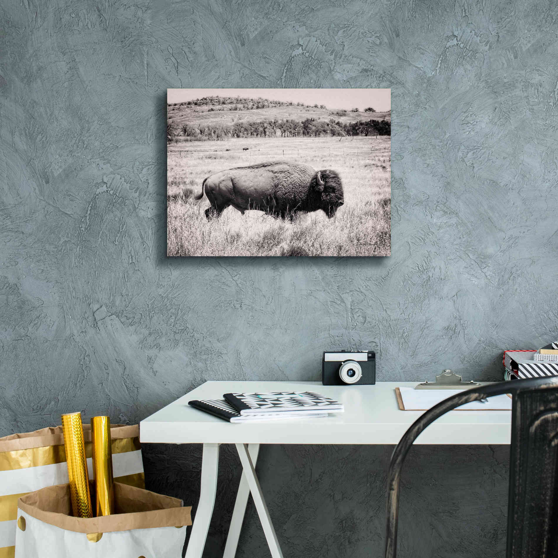 'Buffalo I BW' by Debra Van Swearingen, Canvas Wall Art,16 x 12