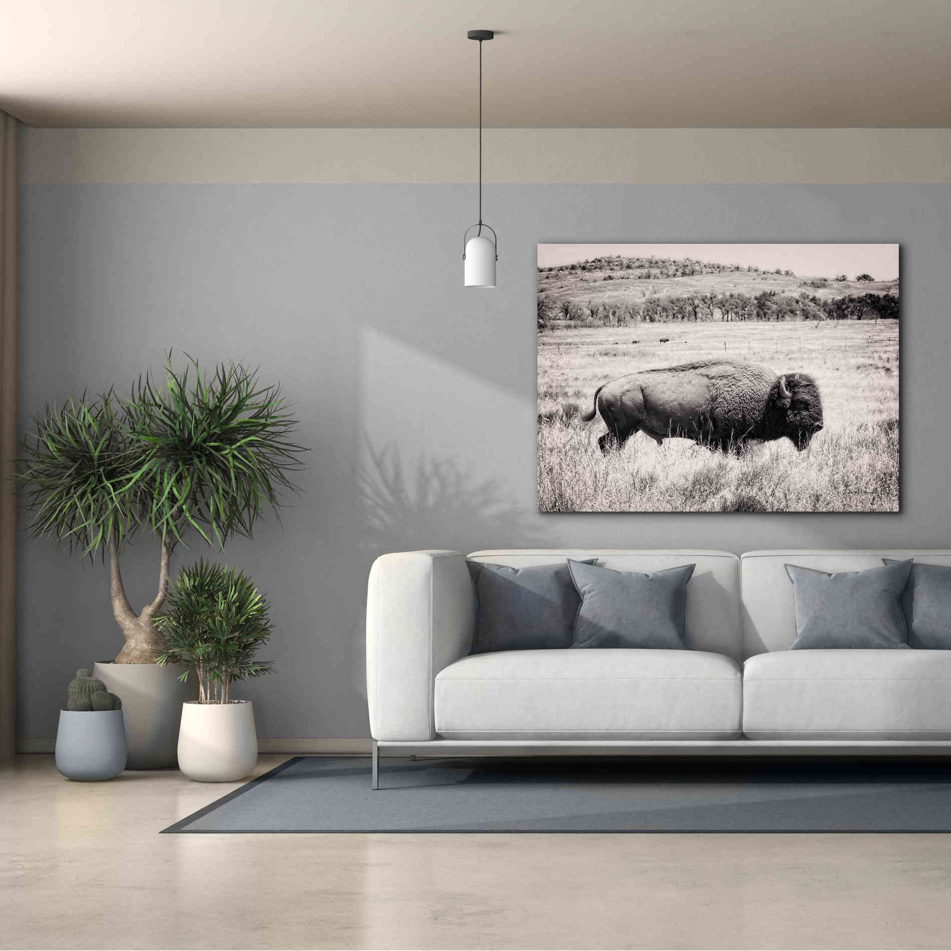 'Buffalo I BW' by Debra Van Swearingen, Canvas Wall Art,54 x 40