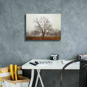 'Morning Calm I' by Debra Van Swearingen, Canvas Wall Art,16 x 12