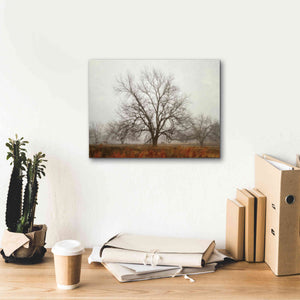 'Morning Calm I' by Debra Van Swearingen, Canvas Wall Art,16 x 12