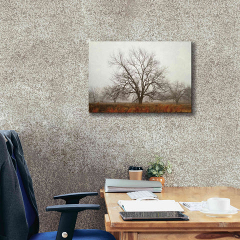 Image of 'Morning Calm I' by Debra Van Swearingen, Canvas Wall Art,26 x 18