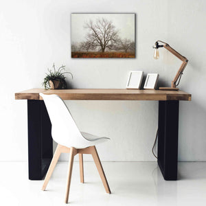 'Morning Calm I' by Debra Van Swearingen, Canvas Wall Art,26 x 18