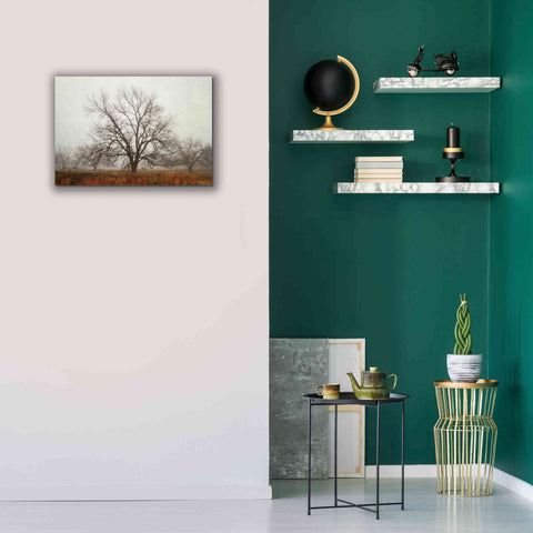 Image of 'Morning Calm I' by Debra Van Swearingen, Canvas Wall Art,26 x 18