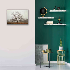 'Morning Calm I' by Debra Van Swearingen, Canvas Wall Art,26 x 18
