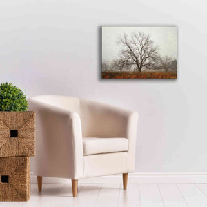 'Morning Calm I' by Debra Van Swearingen, Canvas Wall Art,26 x 18