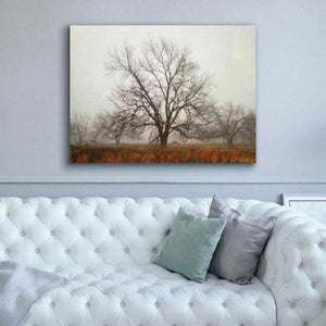 'Morning Calm I' by Debra Van Swearingen, Canvas Wall Art,54 x 40
