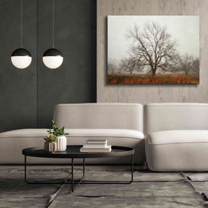 'Morning Calm I' by Debra Van Swearingen, Canvas Wall Art,54 x 40