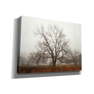 'Morning Calm I' by Debra Van Swearingen, Canvas Wall Art,16x12x1.1x0,26x18x1.1x0,34x26x1.74x0,54x40x1.74x0