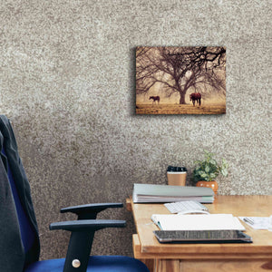 'Morning Calm II' by Debra Van Swearingen, Canvas Wall Art,16 x 12