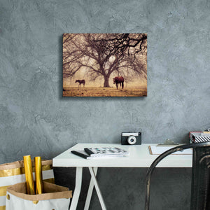 'Morning Calm II' by Debra Van Swearingen, Canvas Wall Art,16 x 12