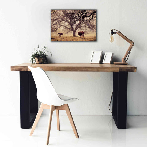 Image of 'Morning Calm II' by Debra Van Swearingen, Canvas Wall Art,26 x 18