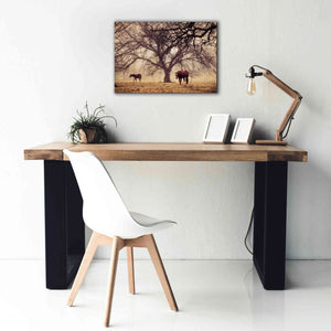 'Morning Calm II' by Debra Van Swearingen, Canvas Wall Art,26 x 18