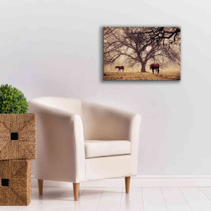'Morning Calm II' by Debra Van Swearingen, Canvas Wall Art,26 x 18