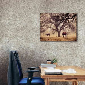 'Morning Calm II' by Debra Van Swearingen, Canvas Wall Art,34 x 26