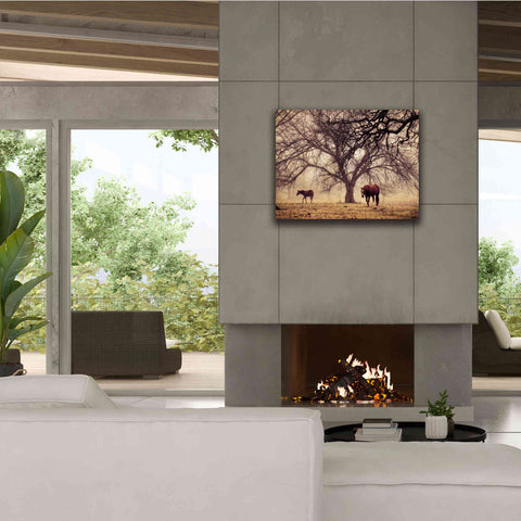 Image of 'Morning Calm II' by Debra Van Swearingen, Canvas Wall Art,34 x 26