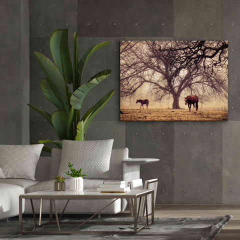 Image of 'Morning Calm II' by Debra Van Swearingen, Canvas Wall Art,54 x 40