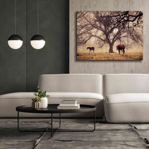 Image of 'Morning Calm II' by Debra Van Swearingen, Canvas Wall Art,54 x 40