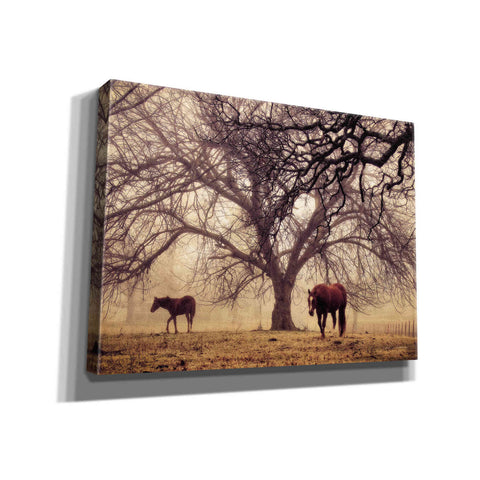 Image of 'Morning Calm II' by Debra Van Swearingen, Canvas Wall Art,16x12x1.1x0,26x18x1.1x0,34x26x1.74x0,54x40x1.74x0